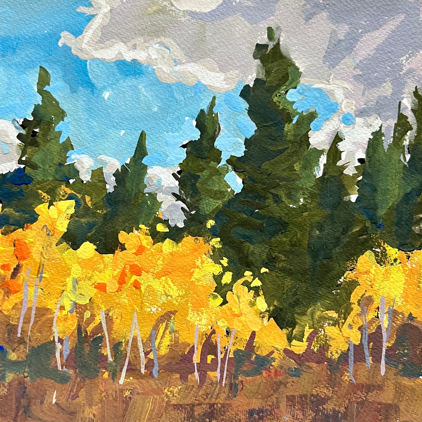 Forest Aspens